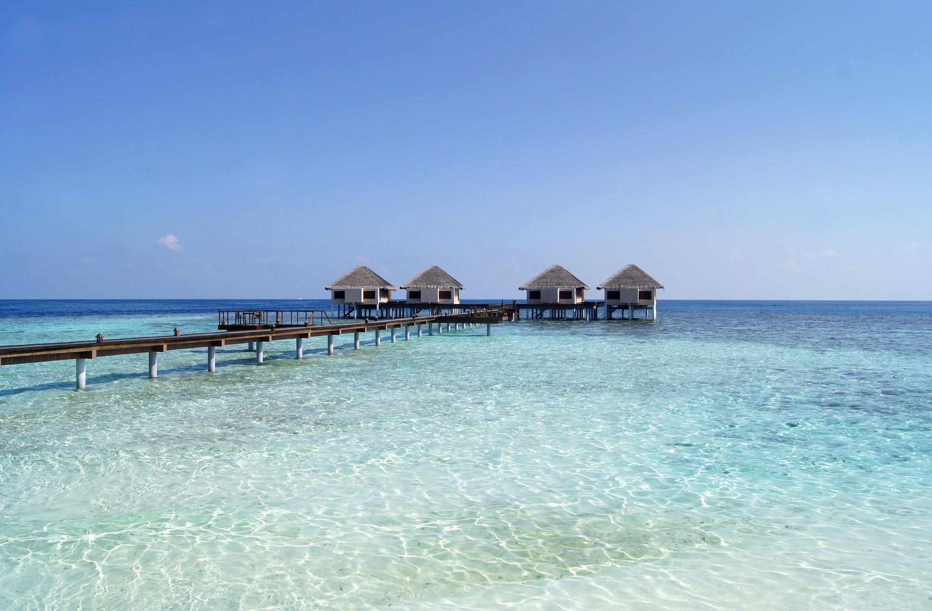 Luxury beach resort with palm trees